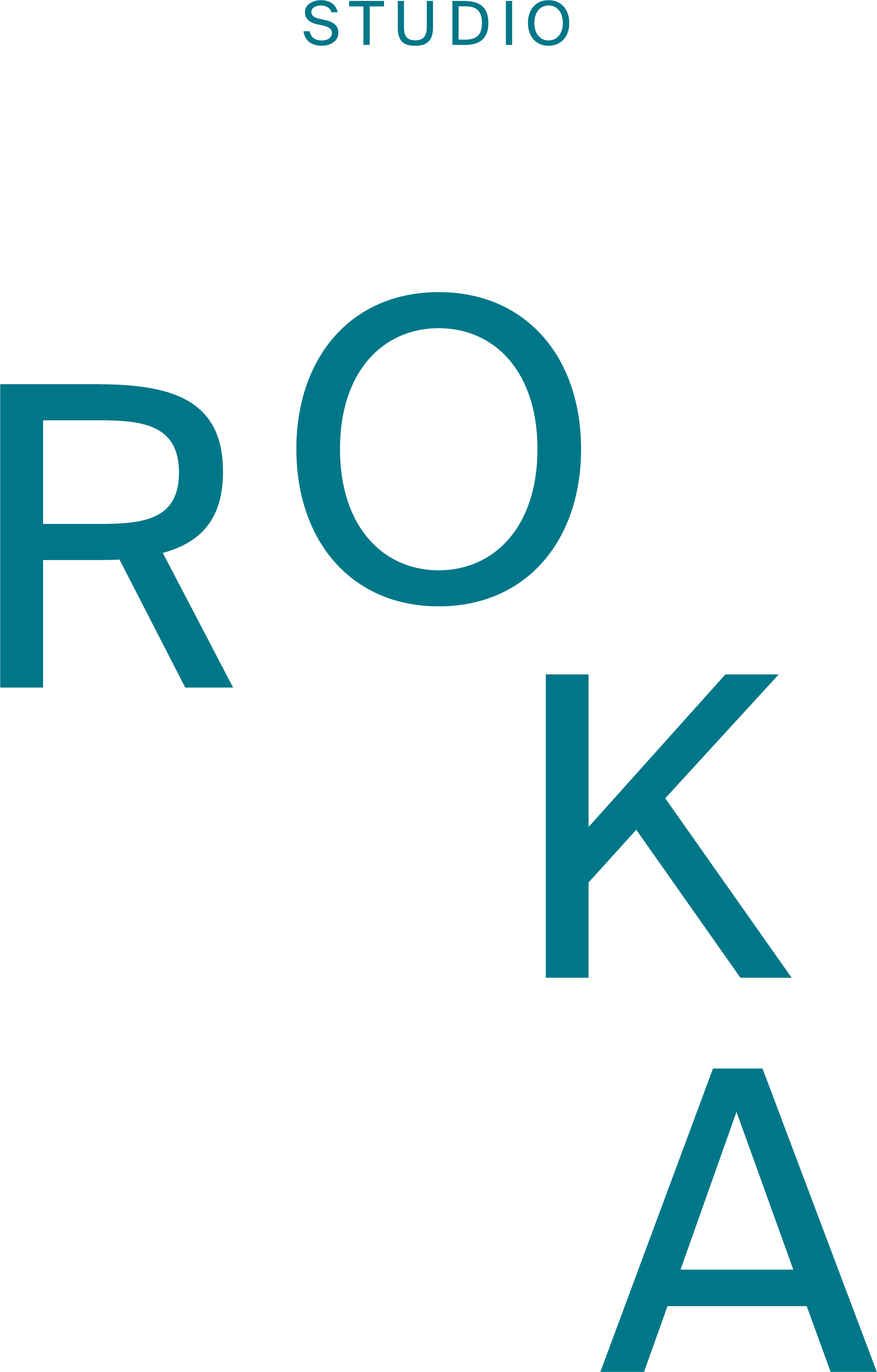 BaharBueyuekkavir_Roka_Logo
