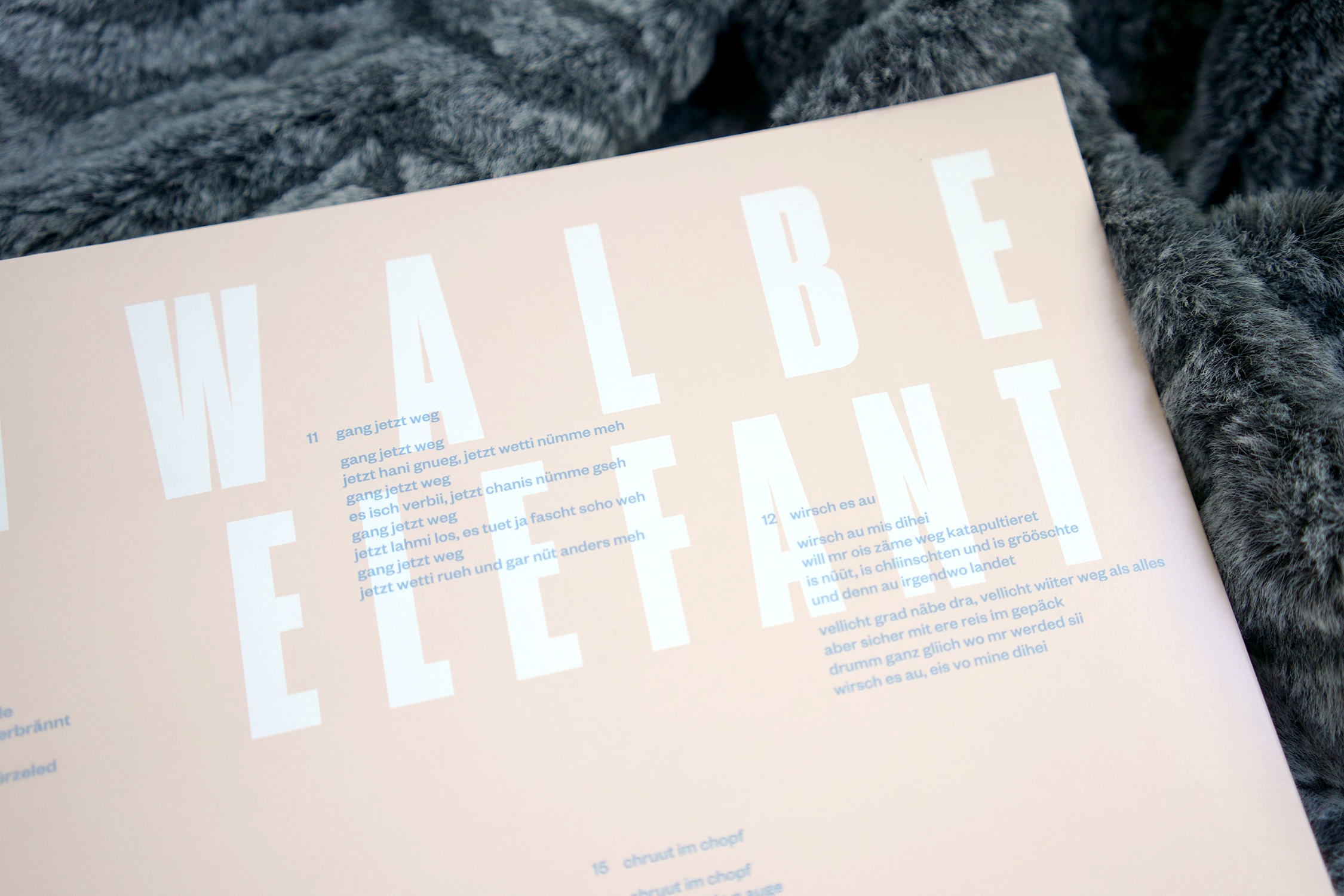 BaharBueyuekkavir_Schwalbe&Elefant_Vinyl-II