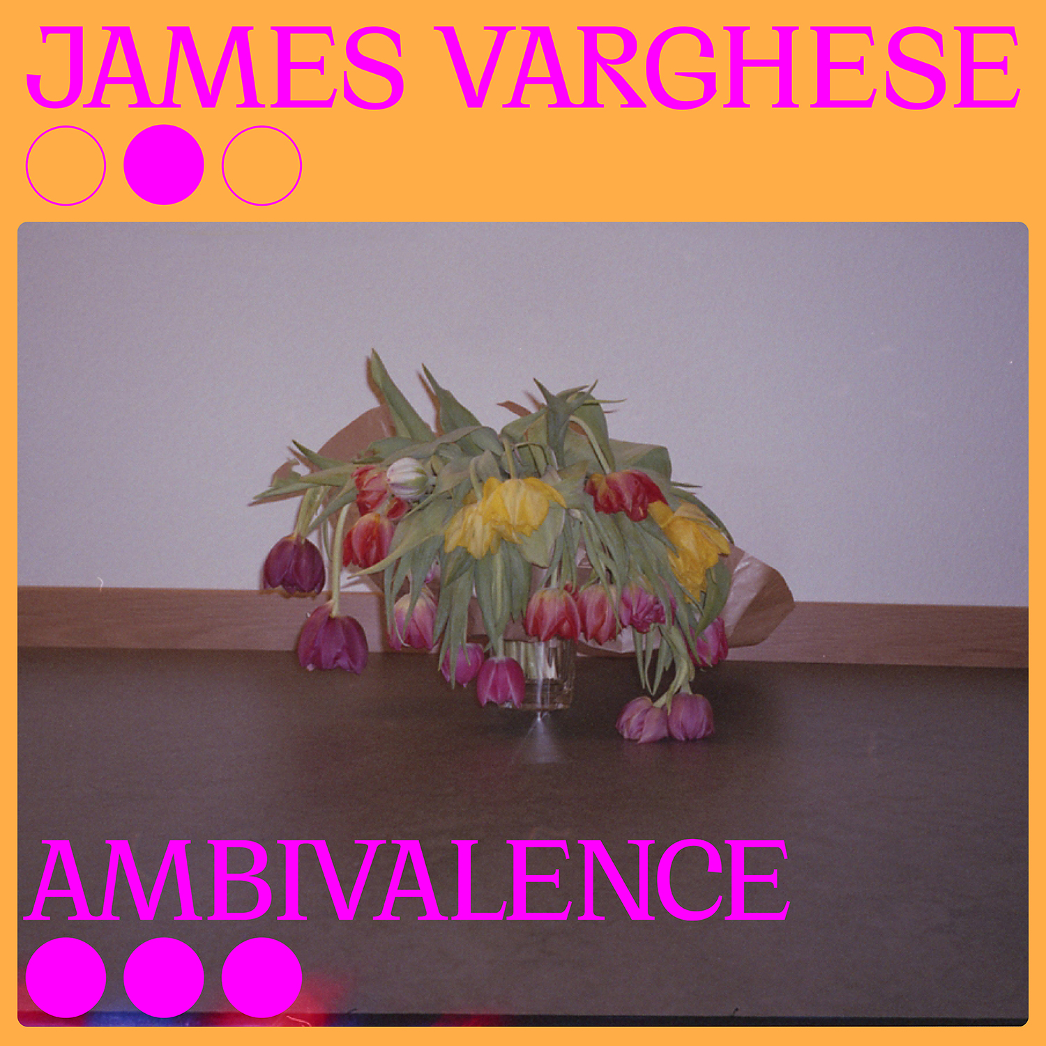 BBueyuekkavir_JDV_Ambivalence